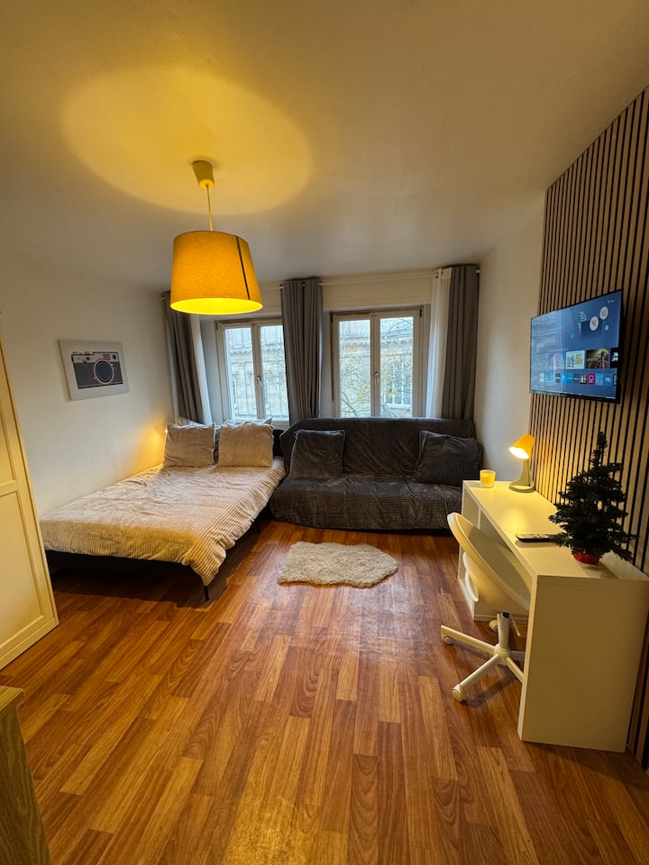 Appartement Lumineux  Centre  Bail Mobilité - Lingolsheim