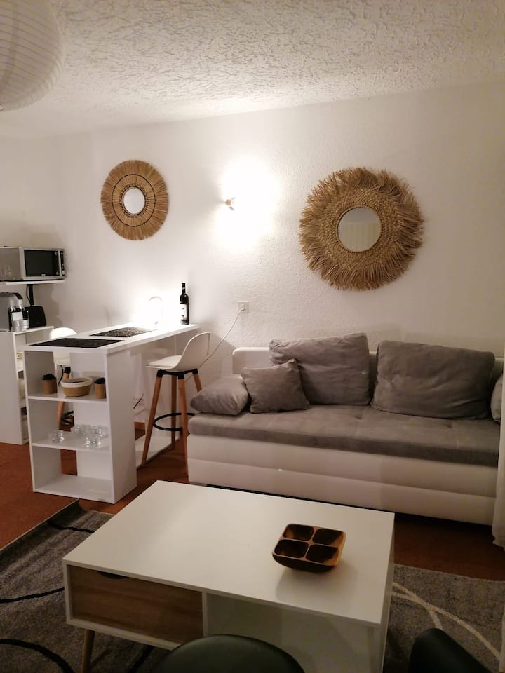 Charmant Studio Au Pied Des Pistes Thyon 2000 - Sion