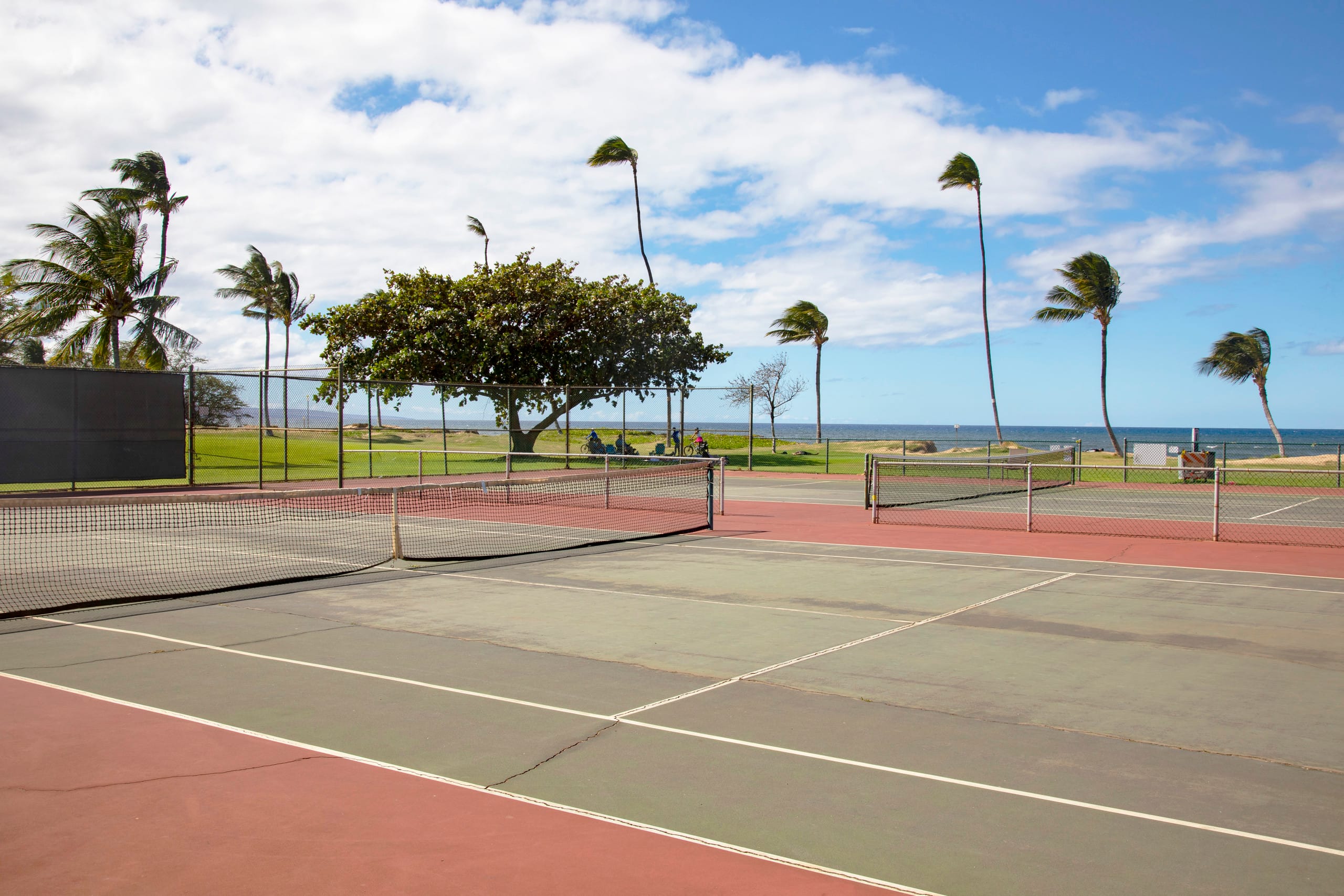 Island condo w/ beach access & pool - Image 34