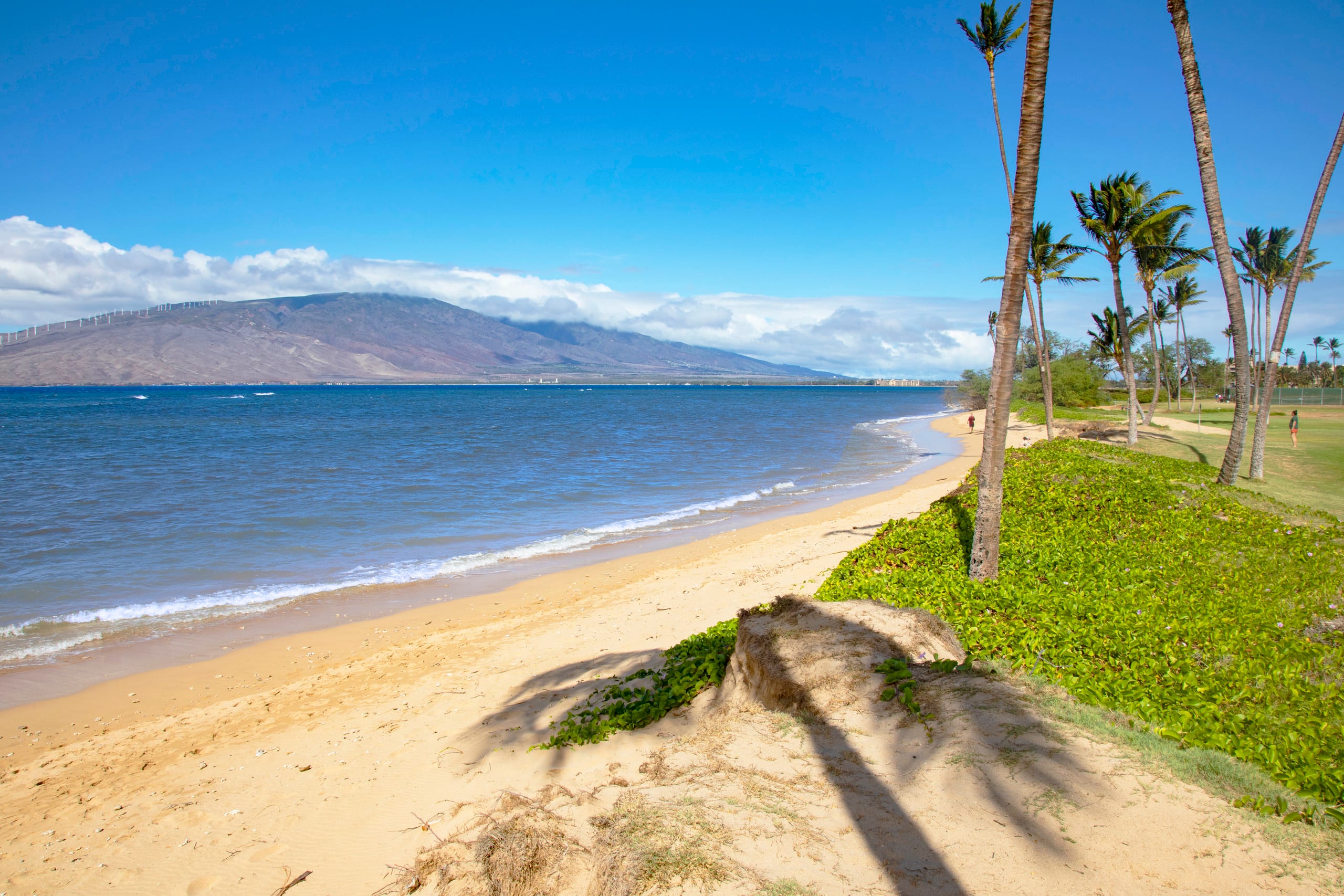 Island condo w/ beach access & pool - Image 37