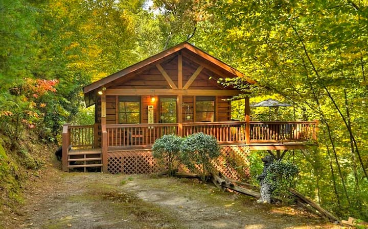 Romantic 1br Cabin Perfect For Two. - Cherry Log, GA