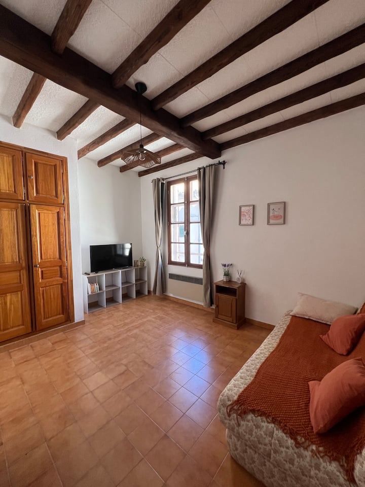 Maison Typique Arlésienne Des Années 70- Climatisé - Arles