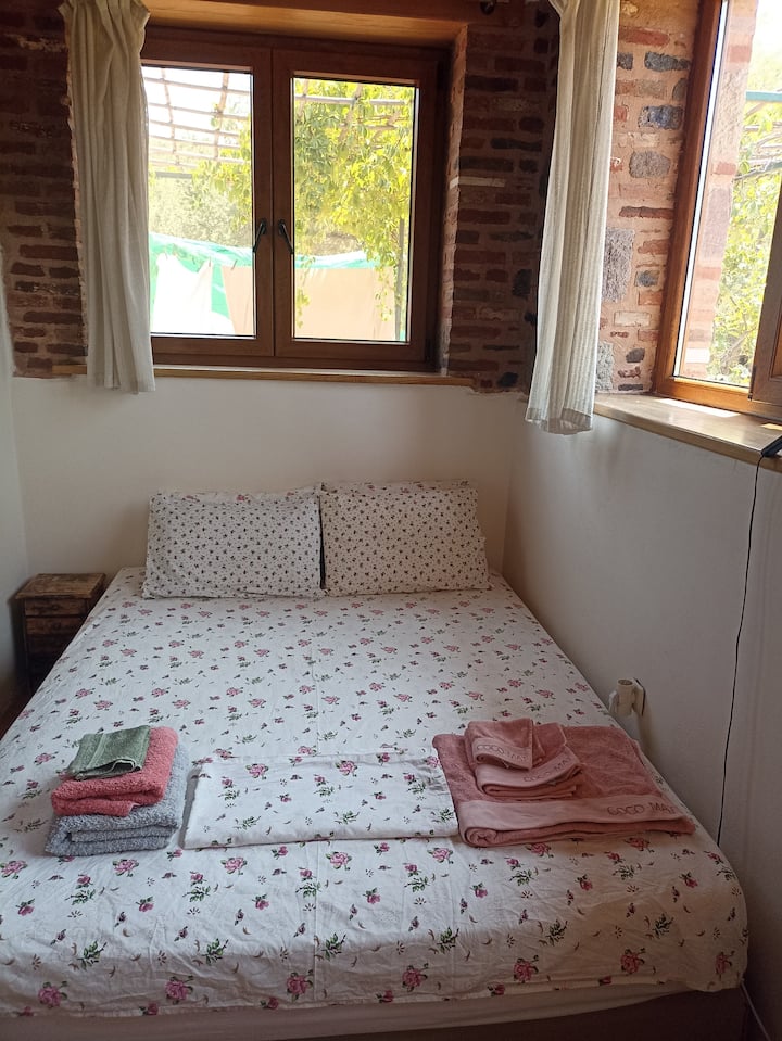 Habitación 1