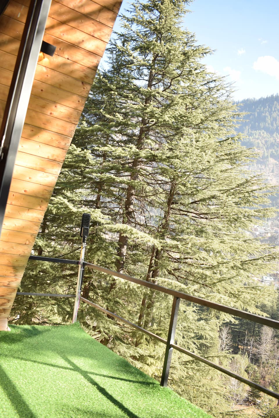 Mountain Views Manali