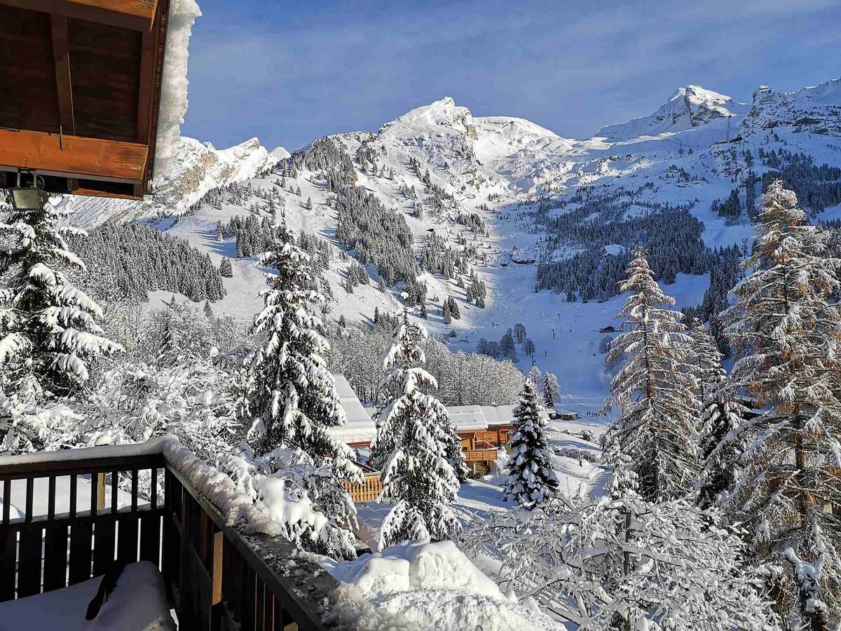 Unobstructed Alpine View Apartments Reference: 200 M From The Slopes Alpine Cocoon Unobstructed View