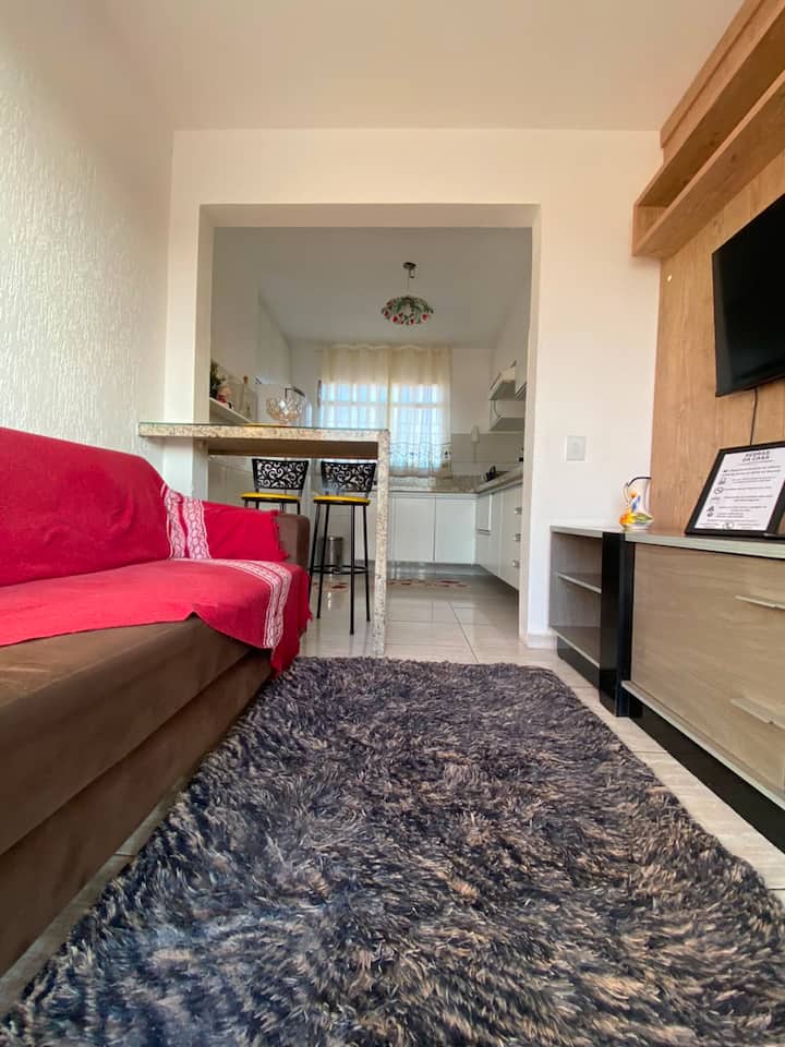 Ap 41 - Apartamento Ideal Para Paraquedismo. - Boituva