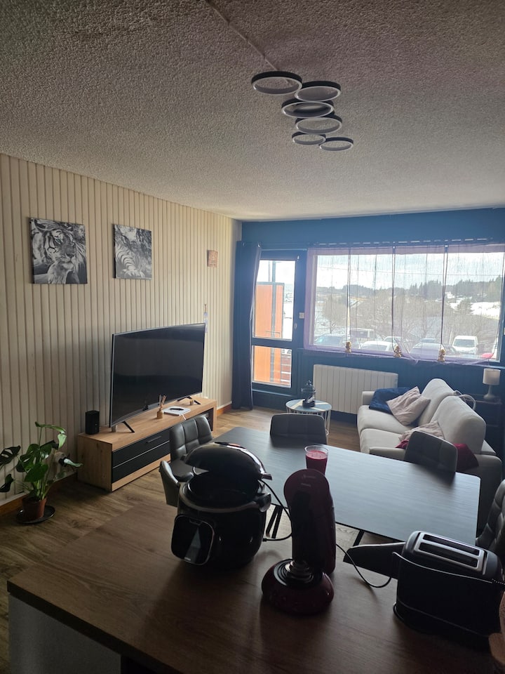 Studio Et Place De Parking Au Pied Des Pistes - Besse-et-Saint-Anastaise