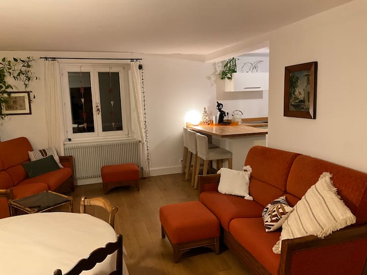 Maison De Famille Du Moulin Supérieur - Ribeauvillé