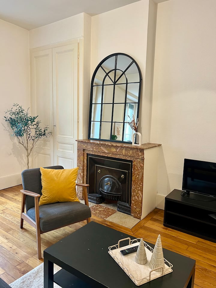 T2 • 47 M² Villeurbanne · Tb11 · Part-dieu - Villeurbanne
