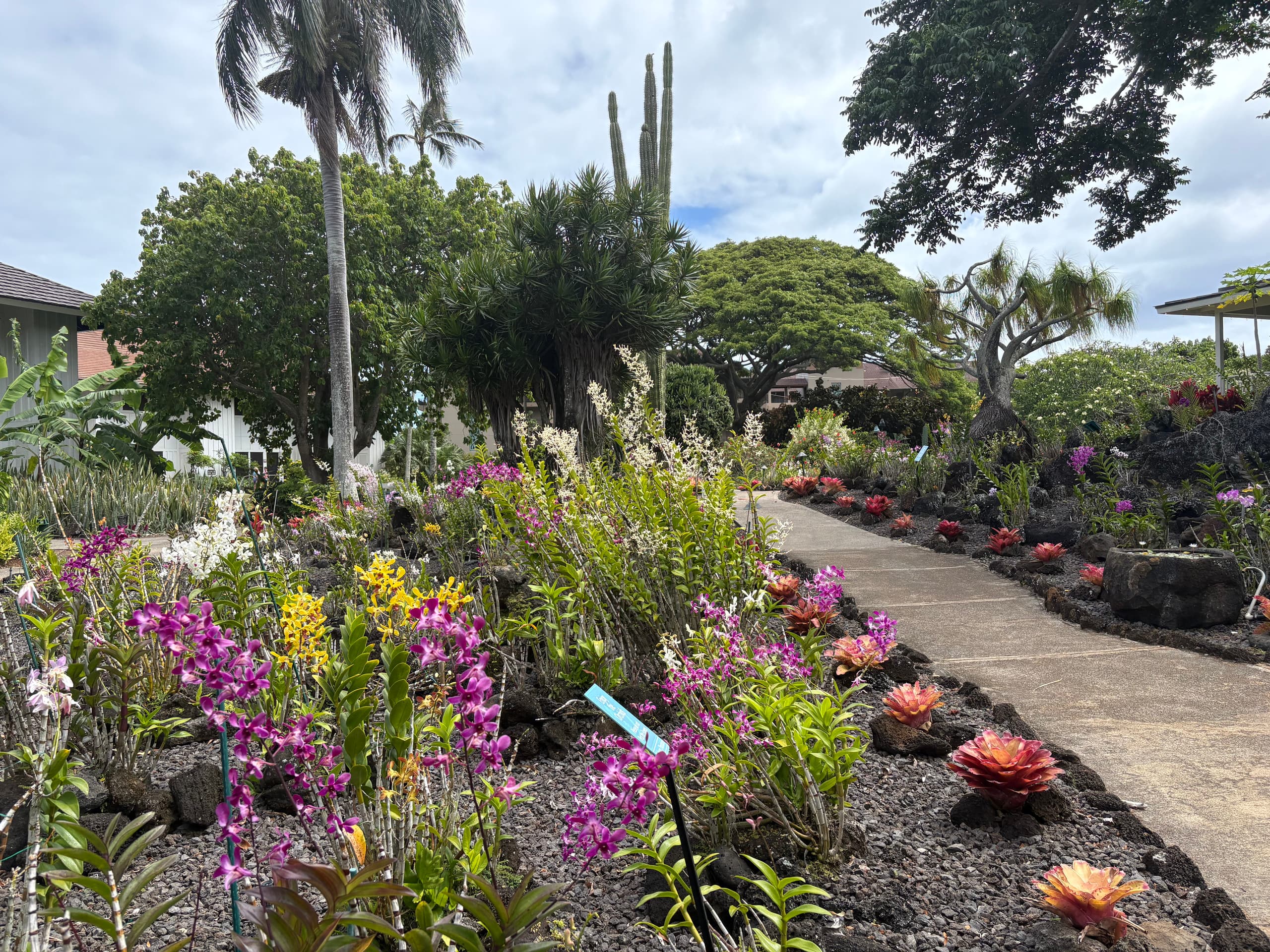 Poipu Beach Remodeled | A/C | Resort Pool & Garden - Photo 14