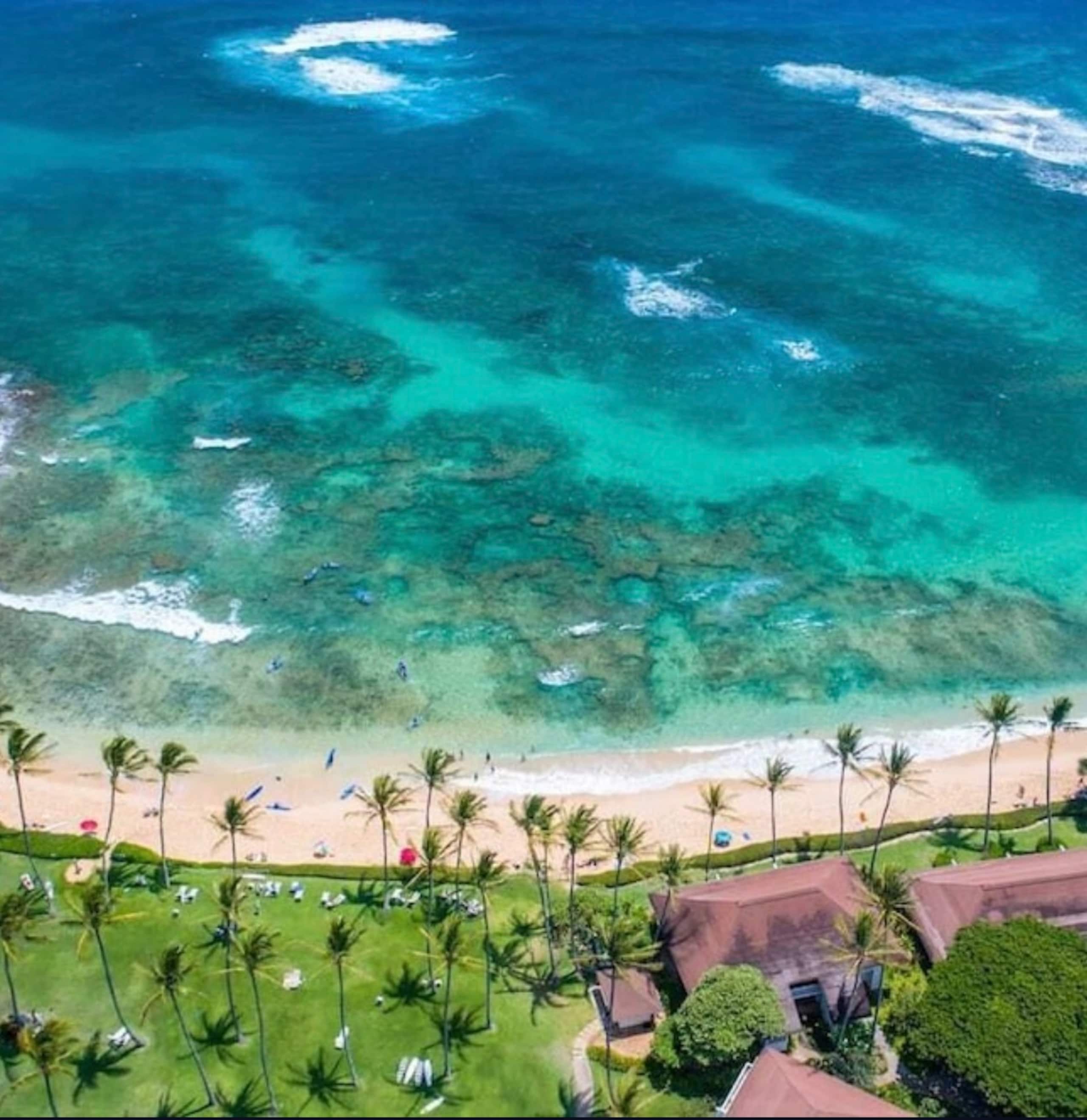 Poipu Beach Remodeled | A/C | Resort Pool & Garden - Photo 11