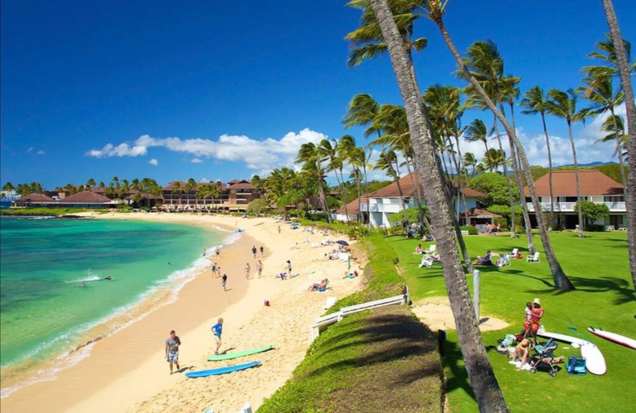 Poipu Beach Remodeled | A/C | Resort Pool & Garden - Photo 13