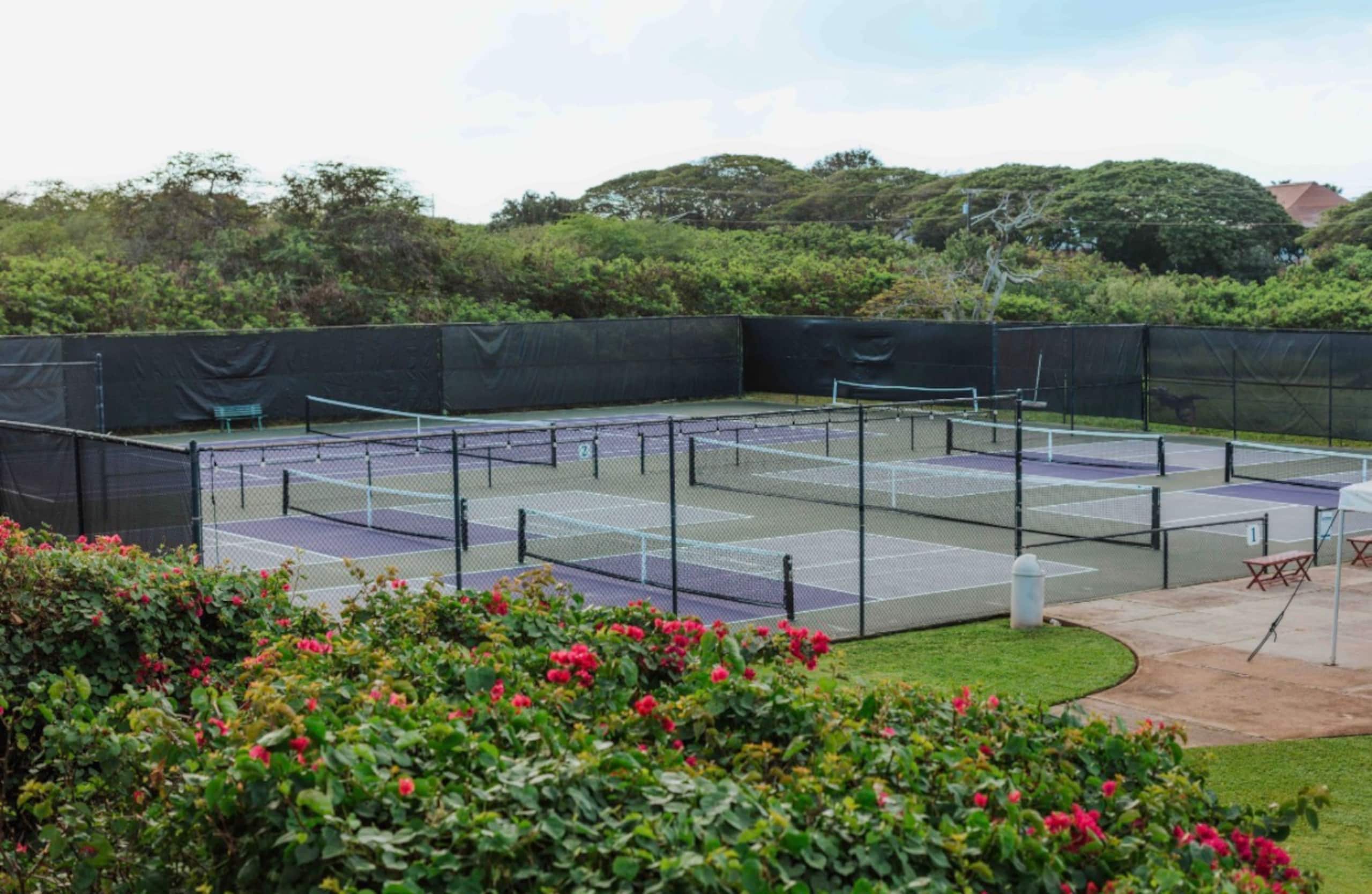 Poipu Beach Remodeled | A/C | Resort Pool & Garden - Photo 19