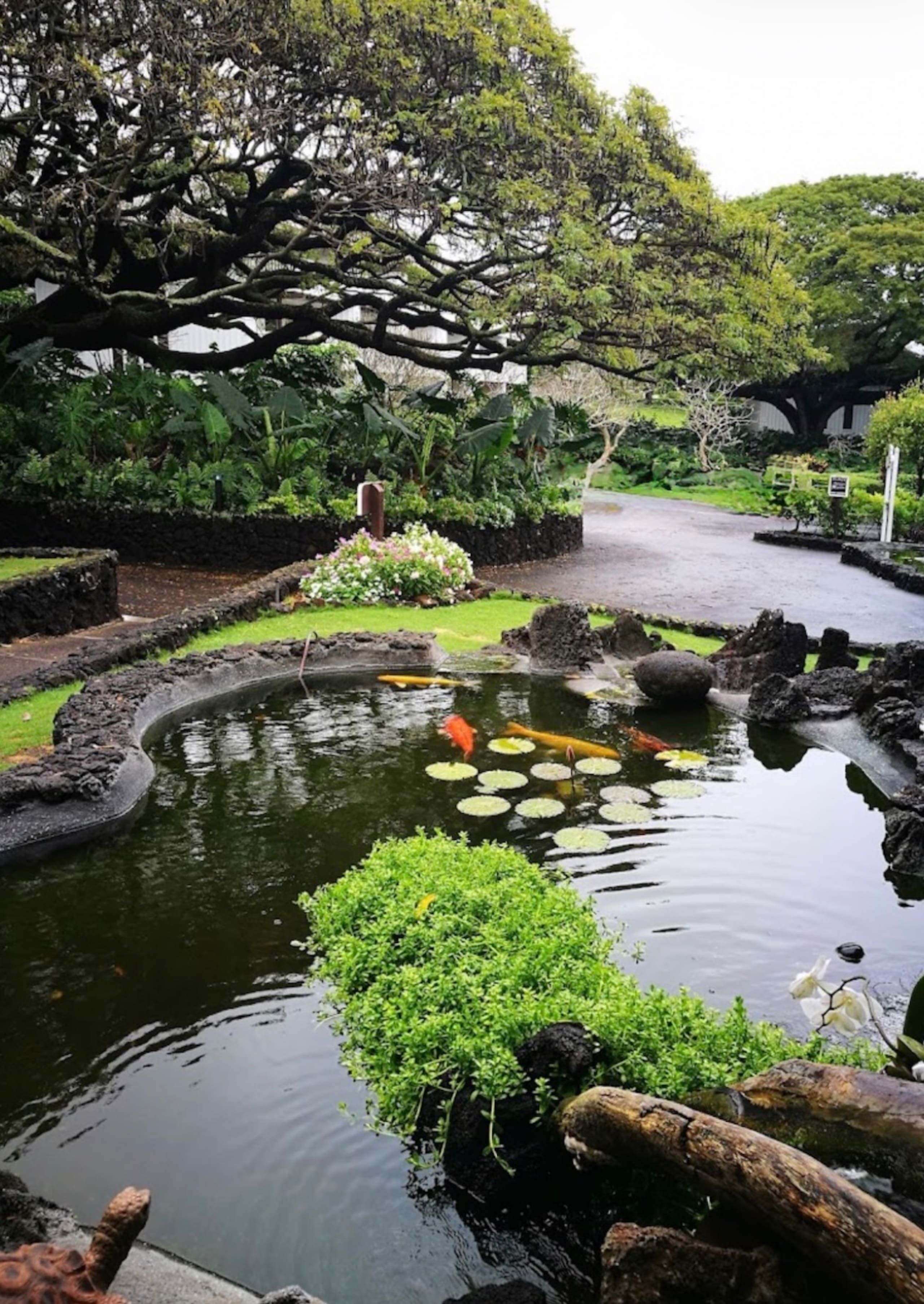 Poipu Beach Remodeled | A/C | Resort Pool & Garden - Photo 36