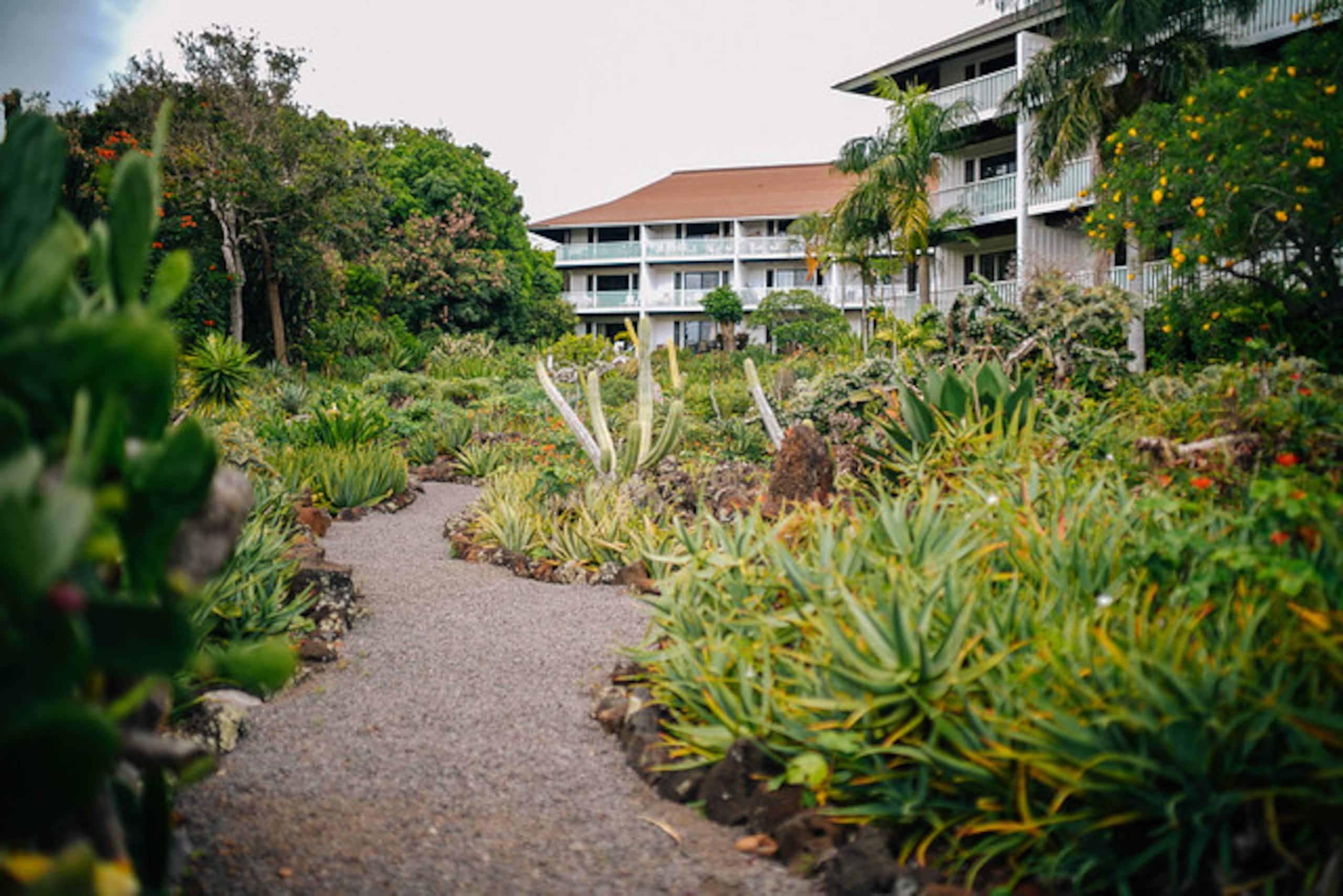 Poipu Beach Remodeled | A/C | Resort Pool & Garden - Photo 25