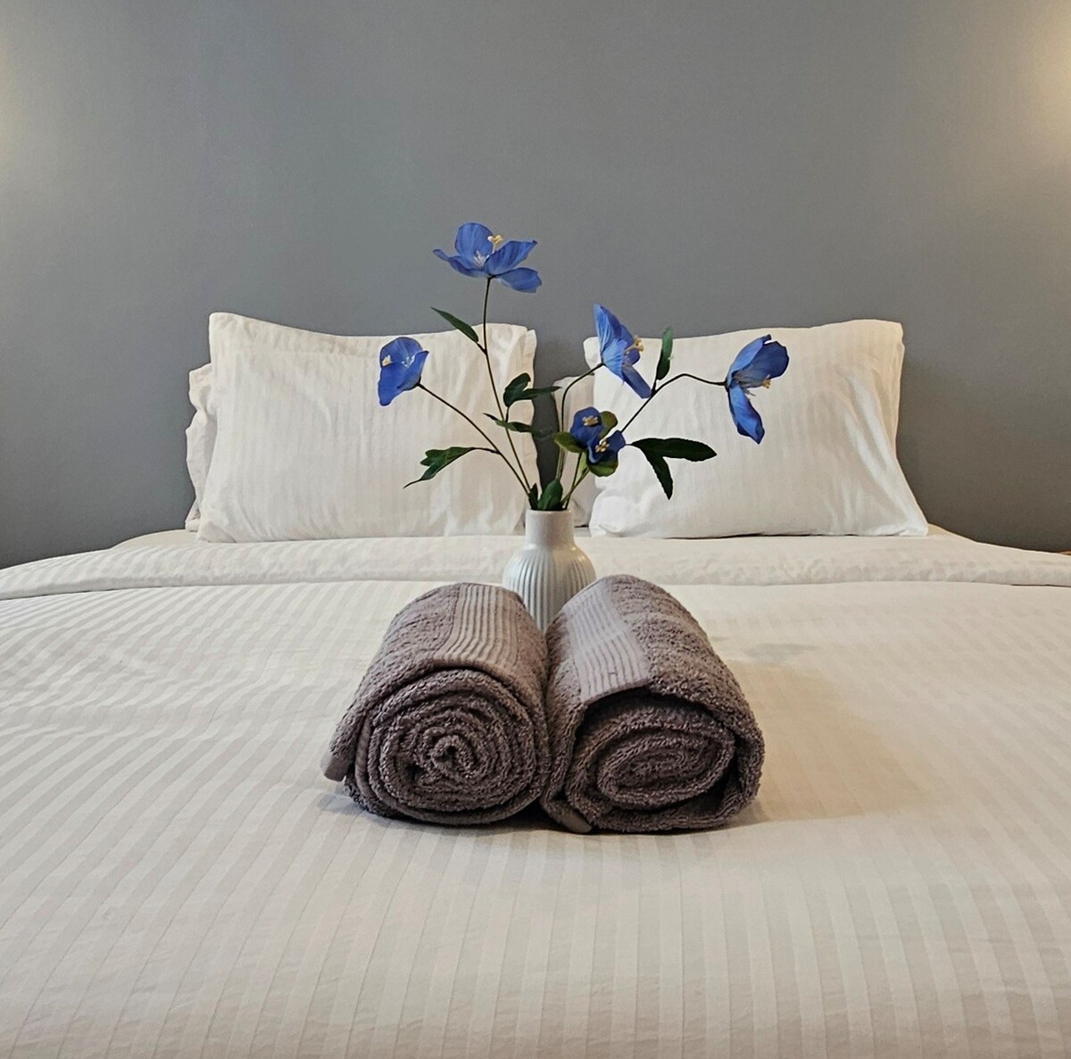 Rental unit in Casablanca  50  3 bedrooms  3 beds  1 bath - image 3