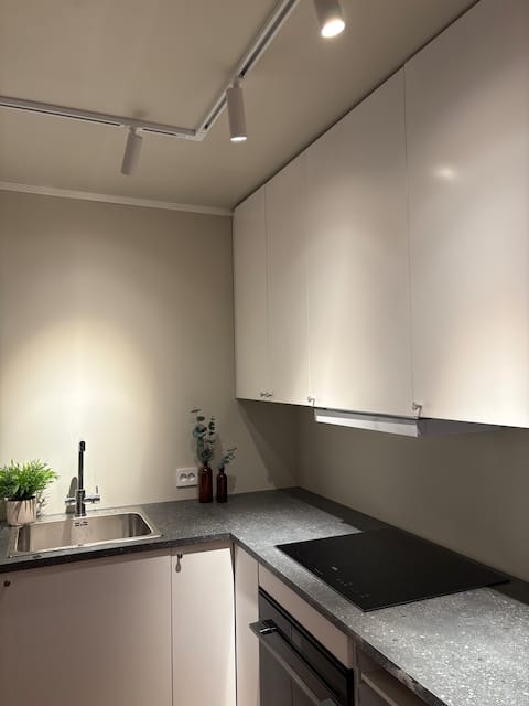 Successful Airbnb property: Comfy home close to Arctic Cathedral in Tromsdalen