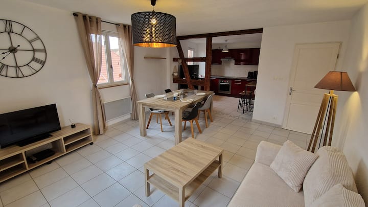 Appartement "La Vita è Bella"(près  D'europa-park) - Ibis Budget Sélestat