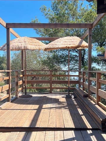 Amazing View from Hollywood Hills. gallery image 2