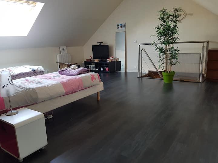 Vaste Chambre Dans  Duplex A L'étage - Brie-Comte-Robert