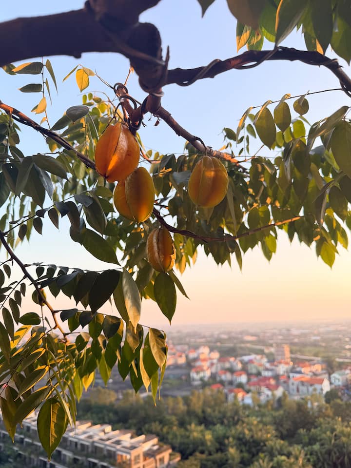 ห้องนั่งเล่น