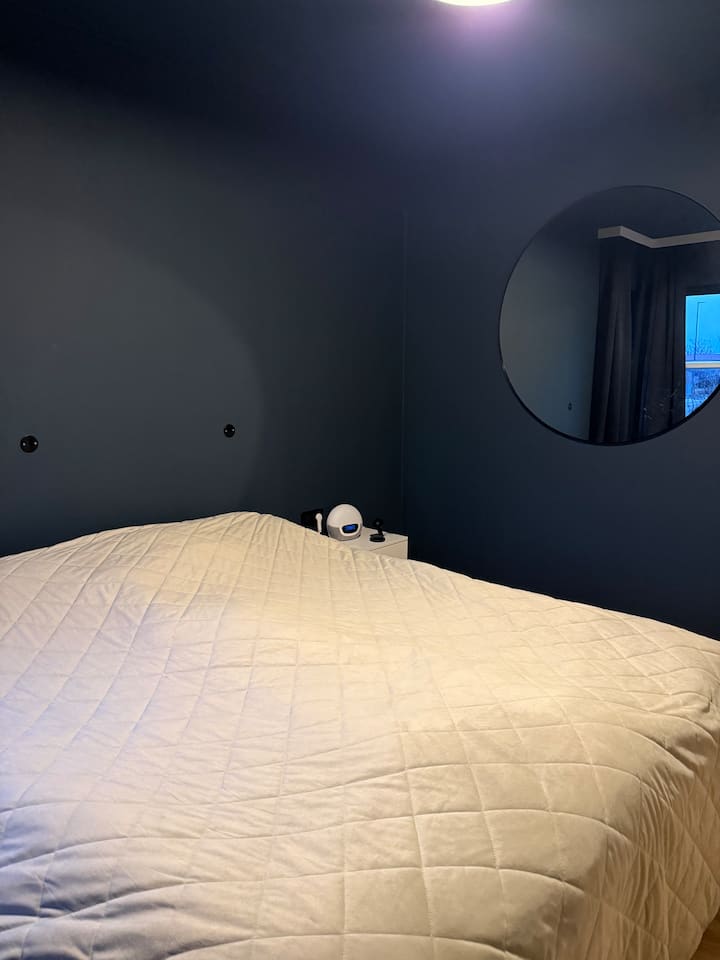 Habitación 1