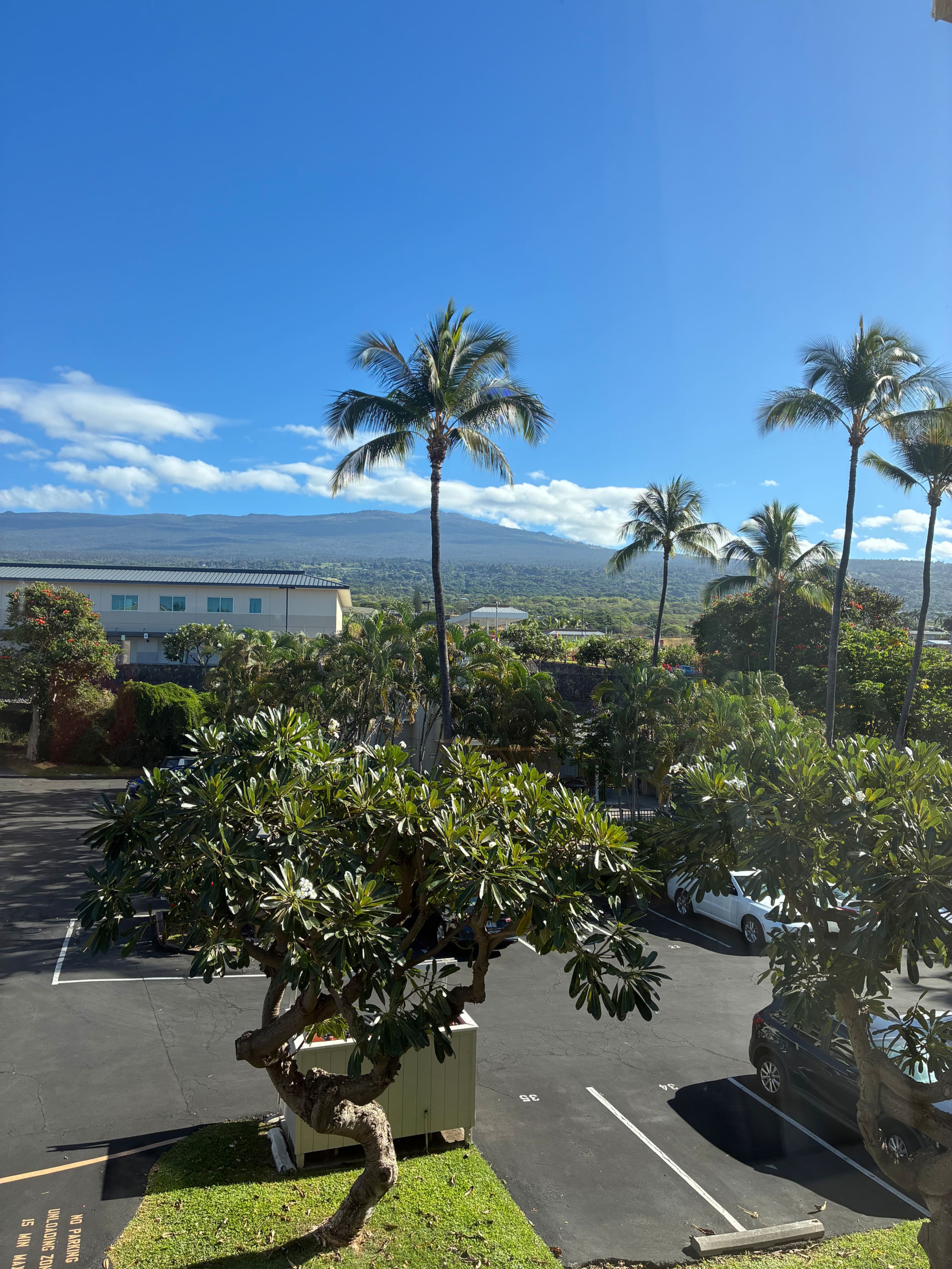 Kona Retreat • Ocean View, Pool & Walk to Beach - Photo 25