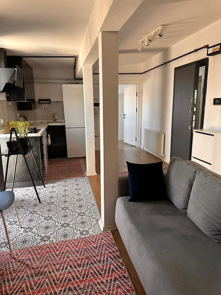 Pent House Near Belediye - Aeropuerto de Istanbul (IST)