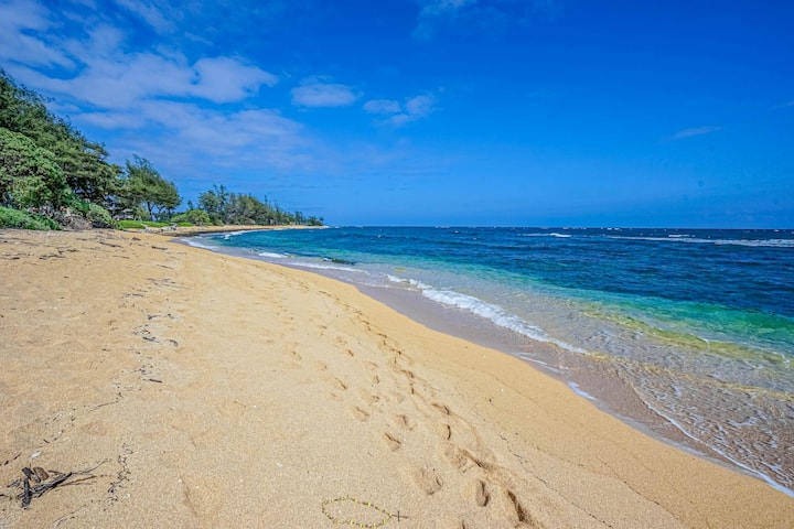 Oceanfront 1st Floor|pool, Kitchenette, & Hot Tub - Kapaʻa, HI