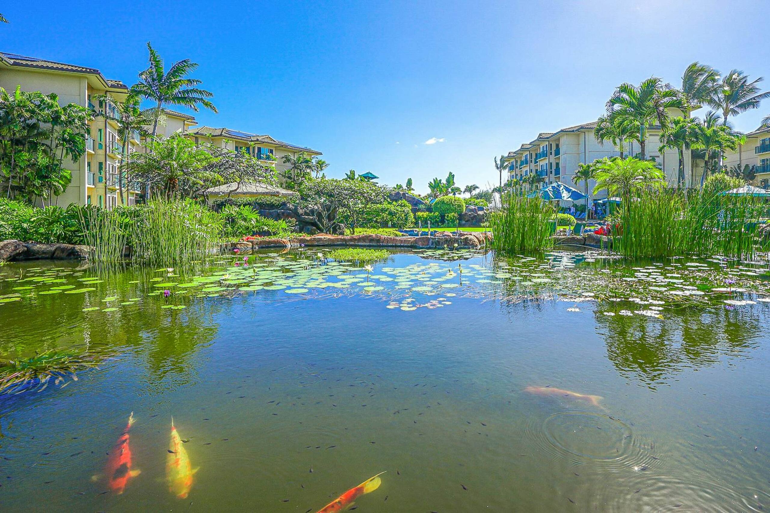 Condo in Kapaa · ★4.38 · 2 bedrooms · 3 beds · 3 private baths - Photo 33