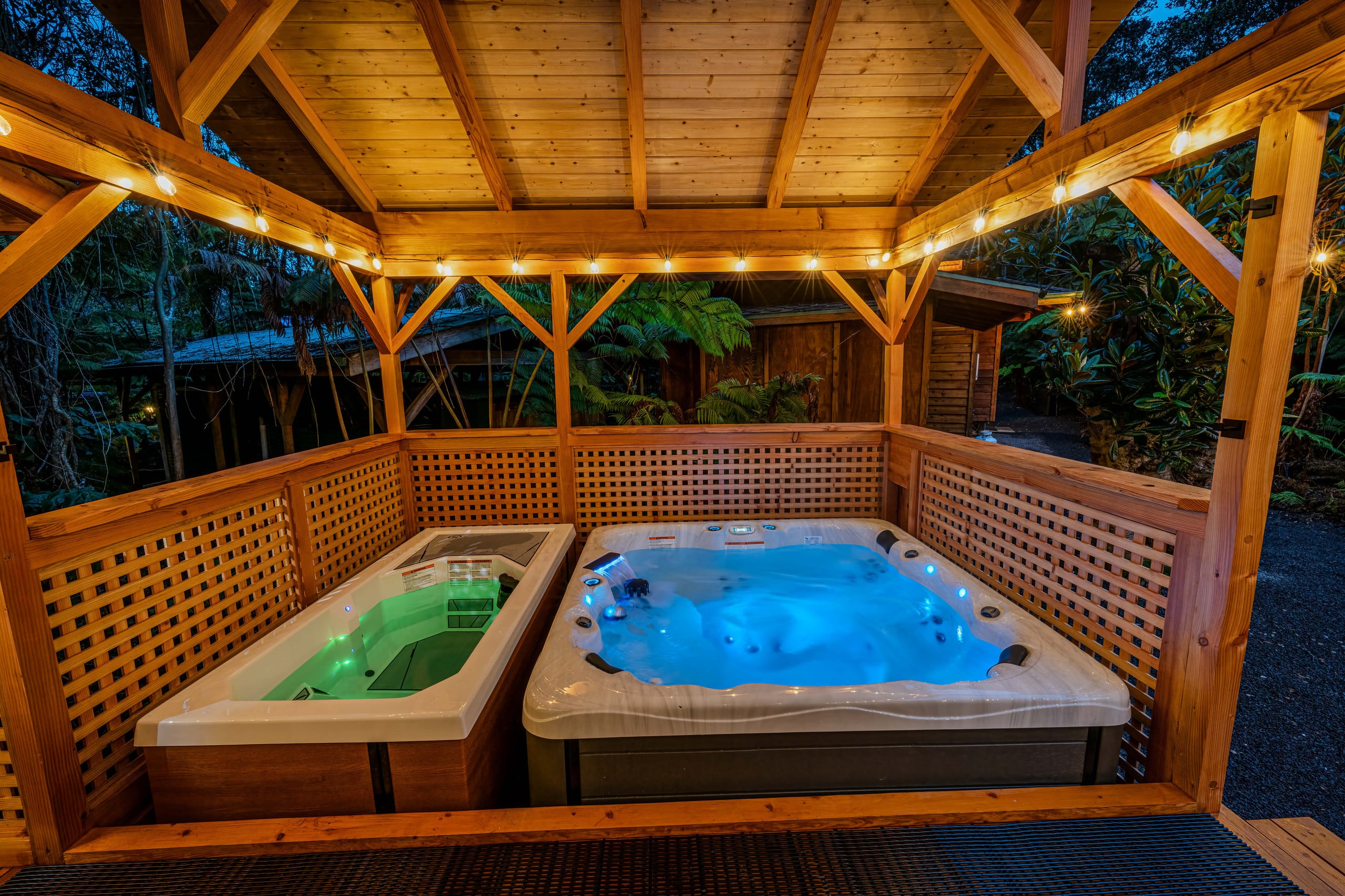 Home in Volcano · ★4.98 · 2 bedrooms · 4 beds · 1 private bath - Image 19