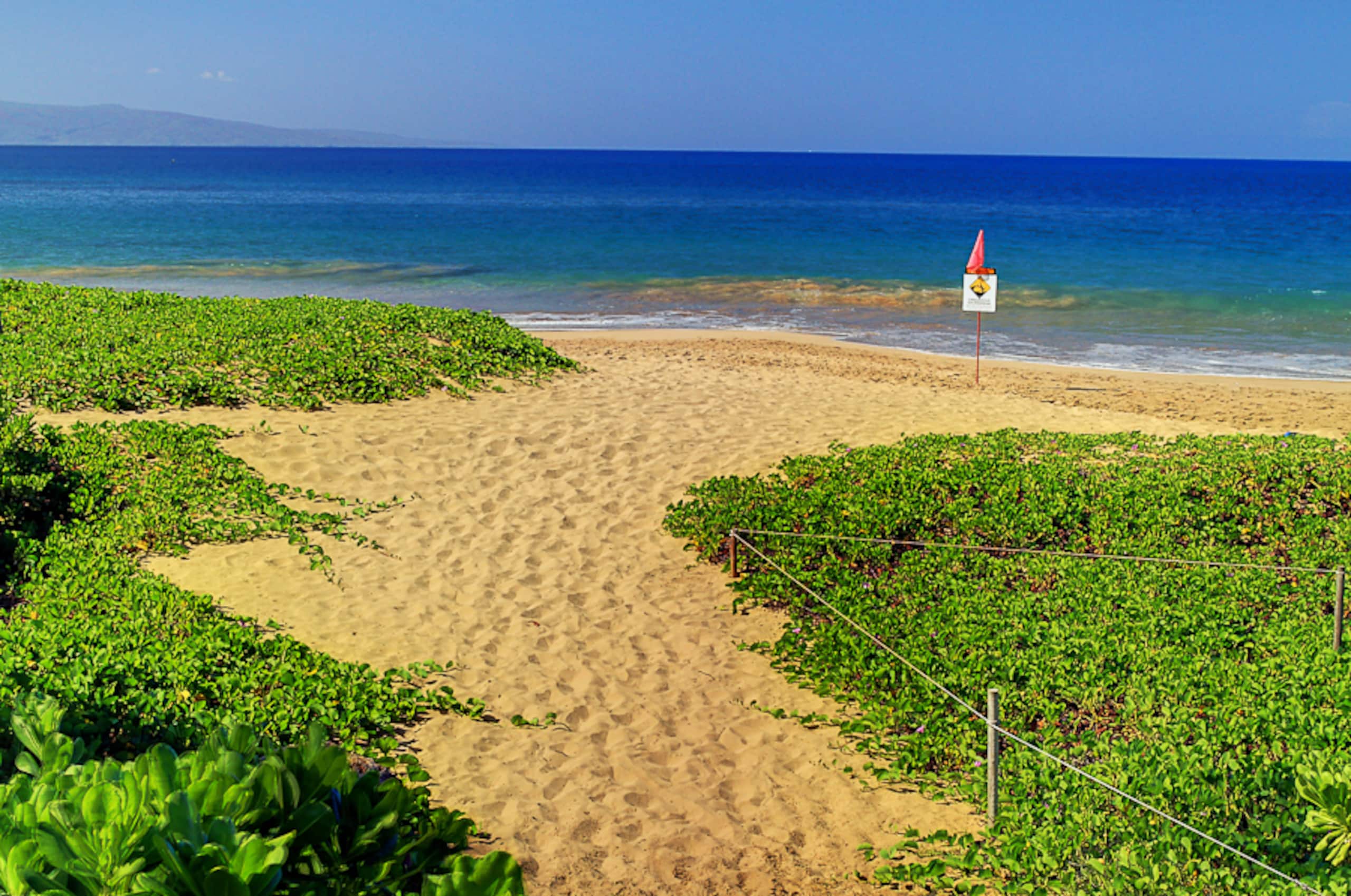 Home in Kihei · ★5.0 · 1 bedroom · 1 bed · 1 private bath - Image 31
