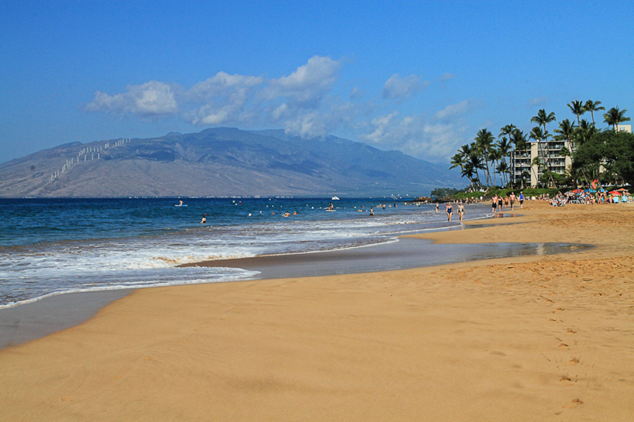 Home in Kihei · ★5.0 · 1 bedroom · 1 bed · 1 private bath - Image 28