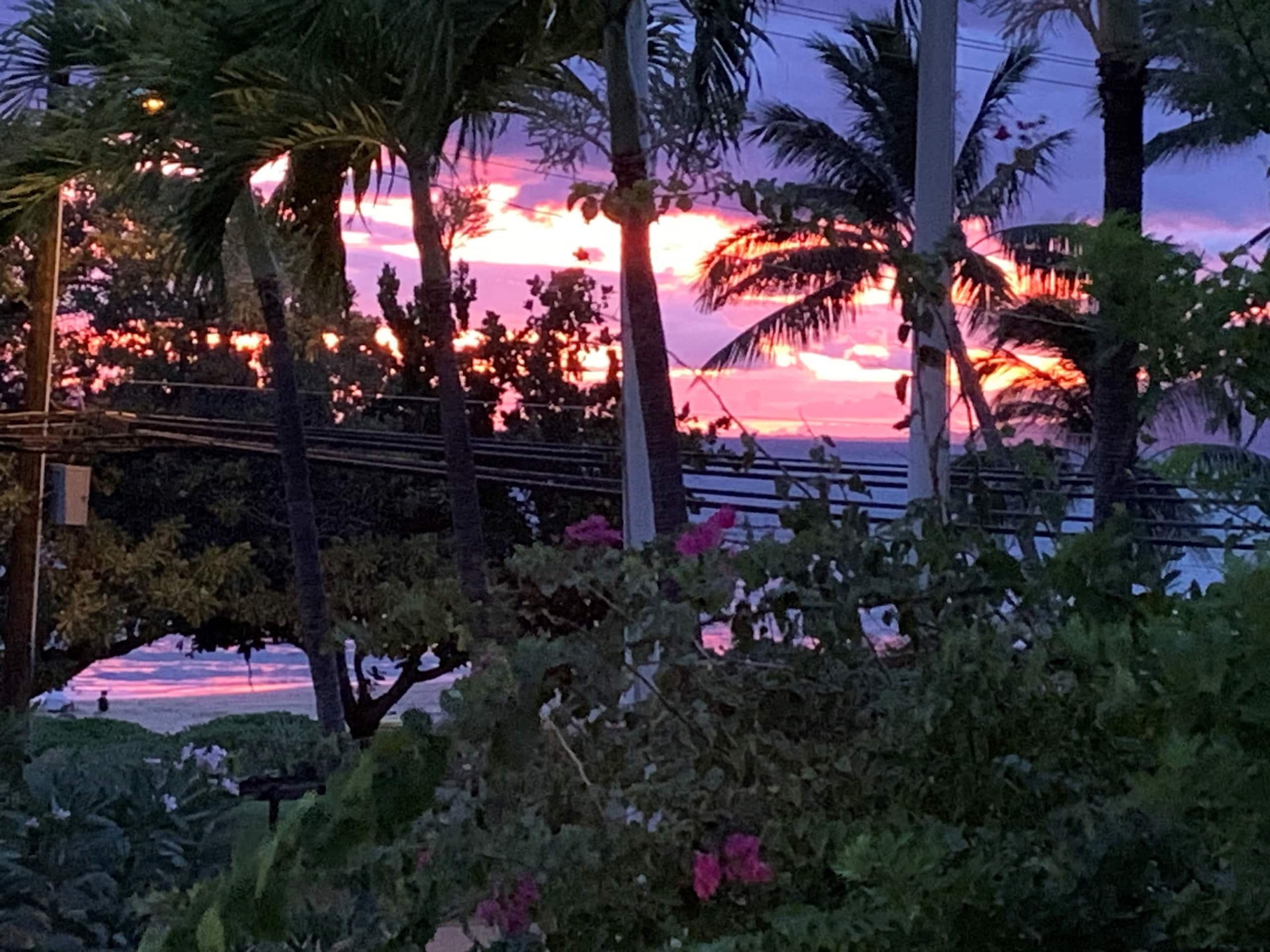 Home in Kihei · ★5.0 · 1 bedroom · 1 bed · 1 private bath - Image 34