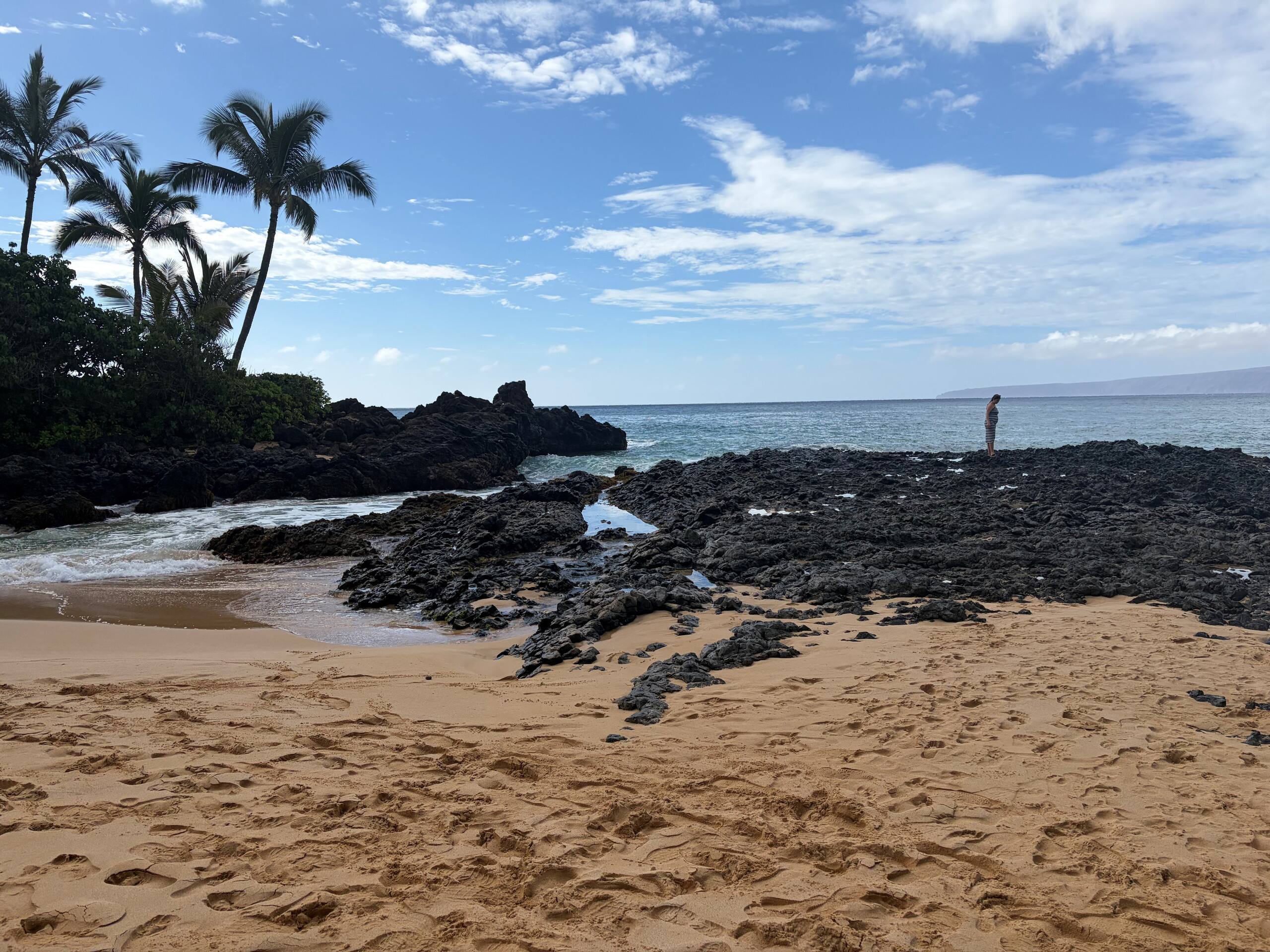 Home in Kihei · ★5.0 · 1 bedroom · 1 bed · 1 private bath - Image 27