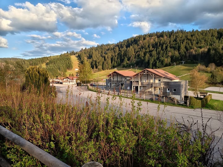 Duplex Confort Aux Pieds Des Pistes - Gérardmer - Gérardmer