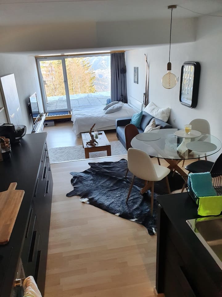 Grand Studio Moderne à Louer à Anzère - Anzère