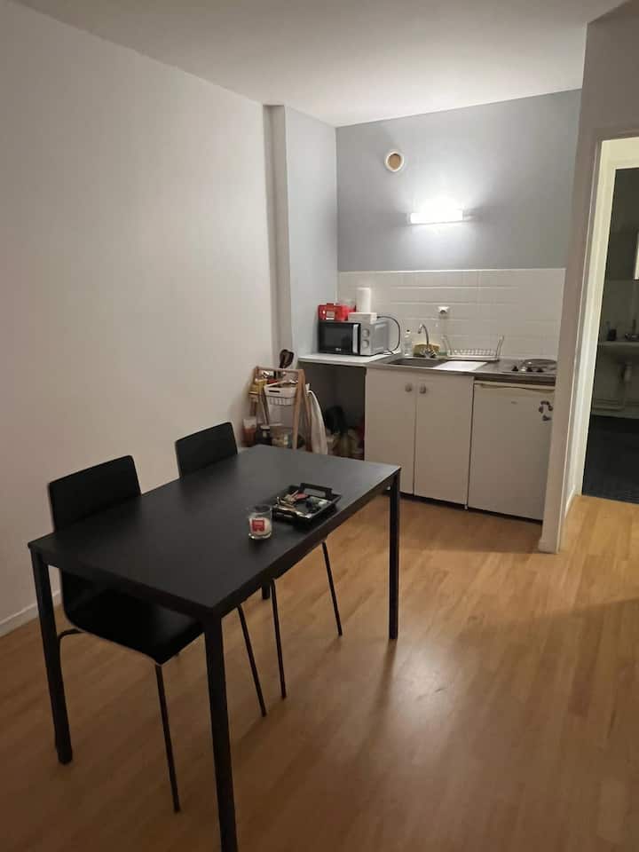 Petit Logement Entier Au Centre-ville De Dijon - Dijon