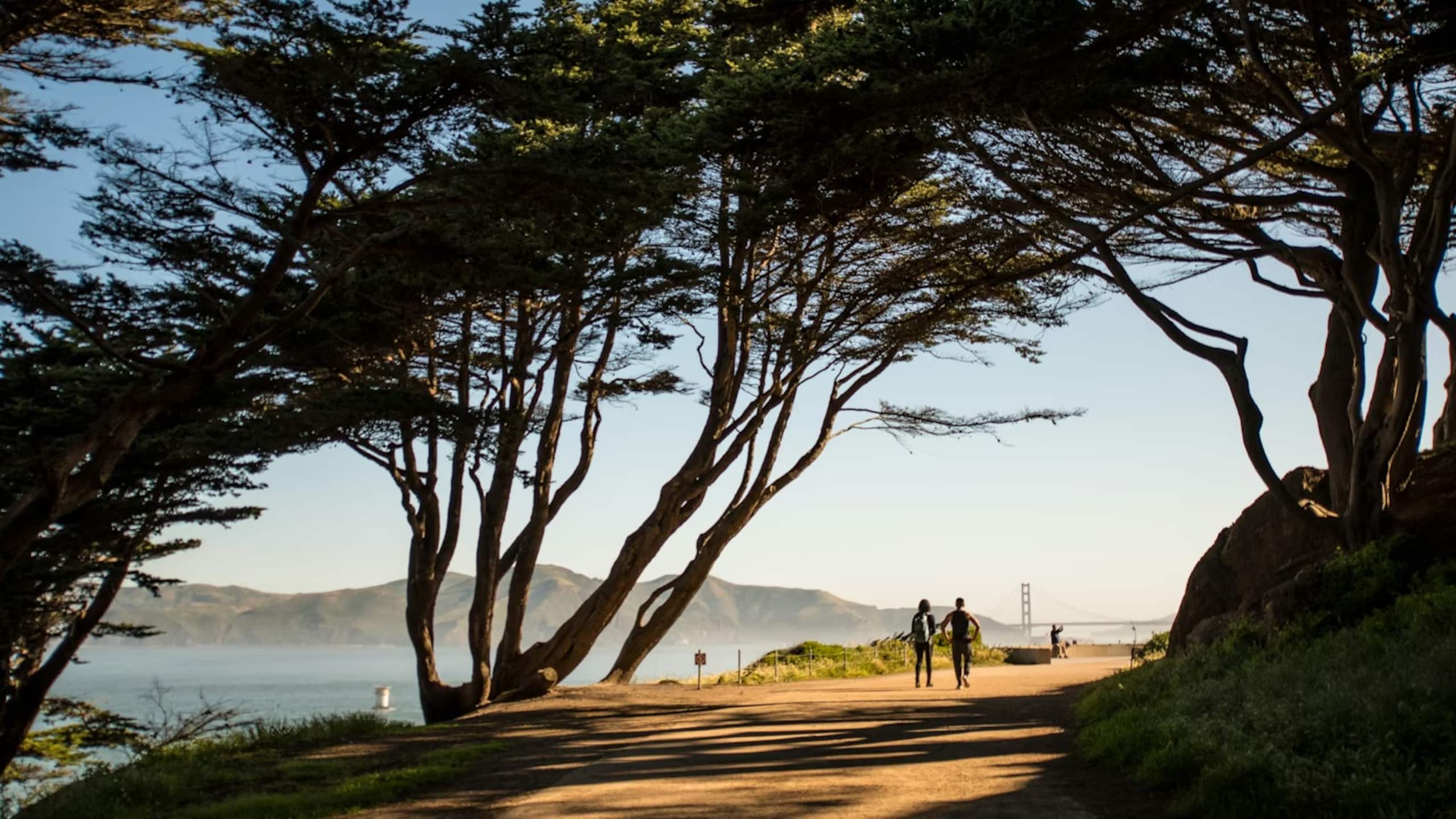 Home in San Francisco · ★4.94 · 3 bedrooms · 6 beds · 1.5 baths - Image 29