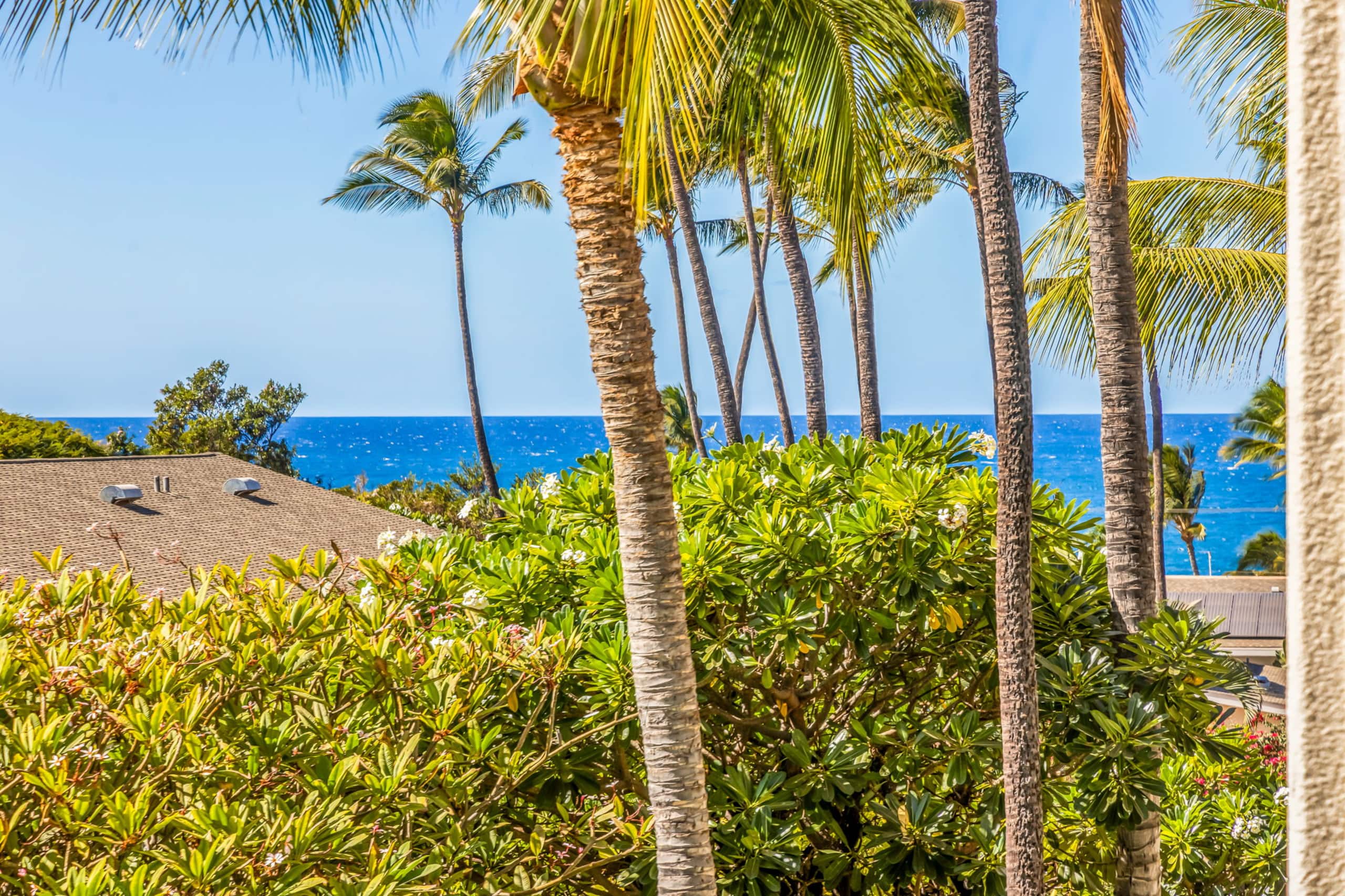 Condo in Kihei · ★4.6 · 1 bedroom · 2 beds · 1 private bath - Image 28