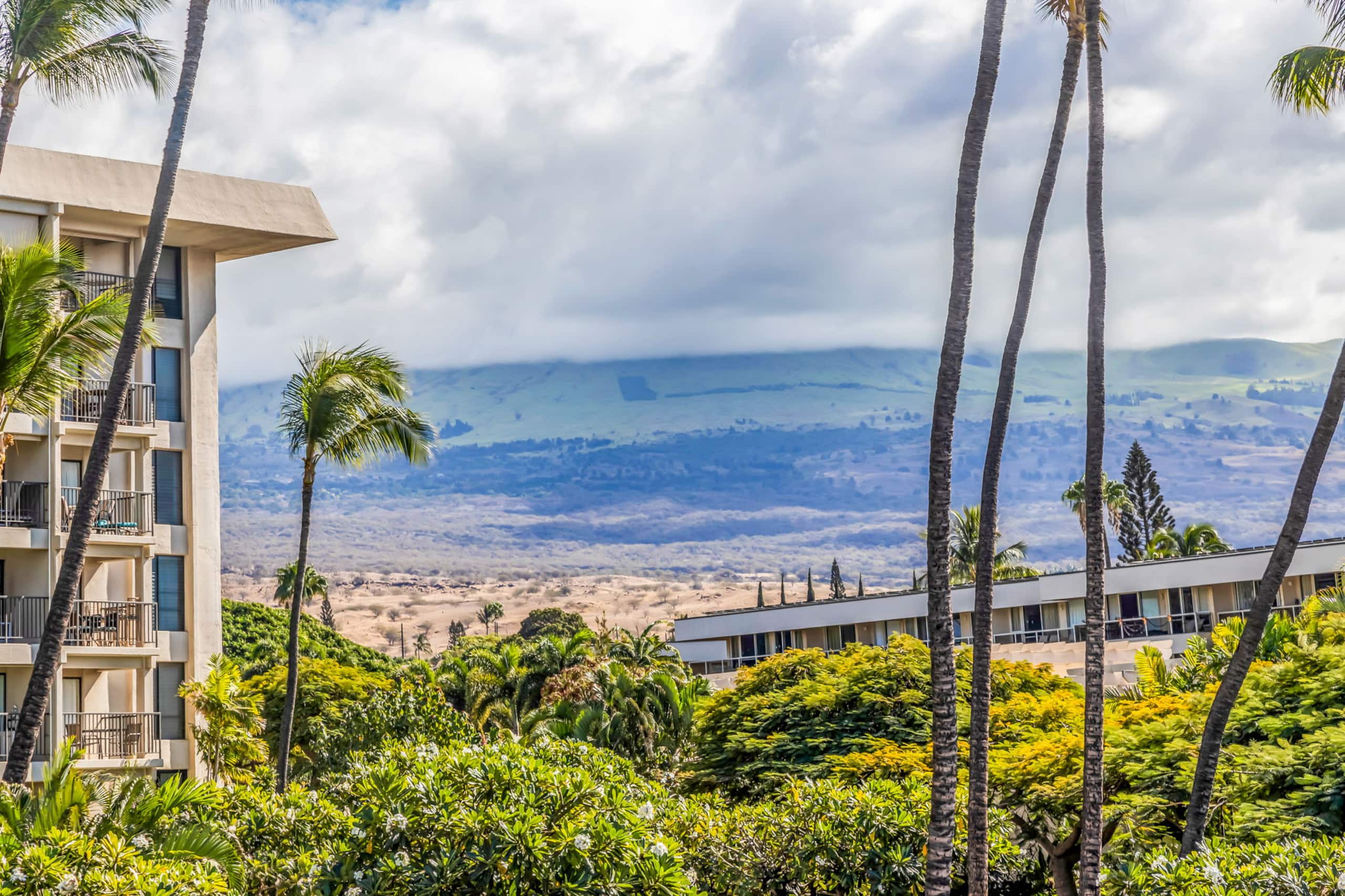 Condo in Kihei · ★4.6 · 1 bedroom · 2 beds · 1 private bath - Image 33