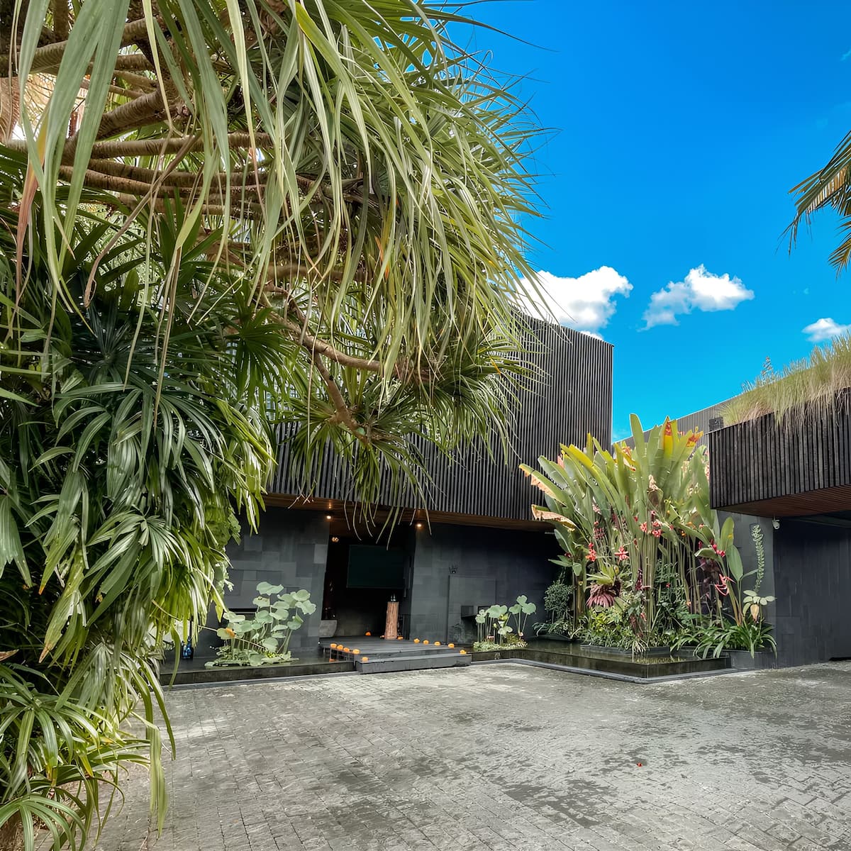 Ocean Palm — photo 2