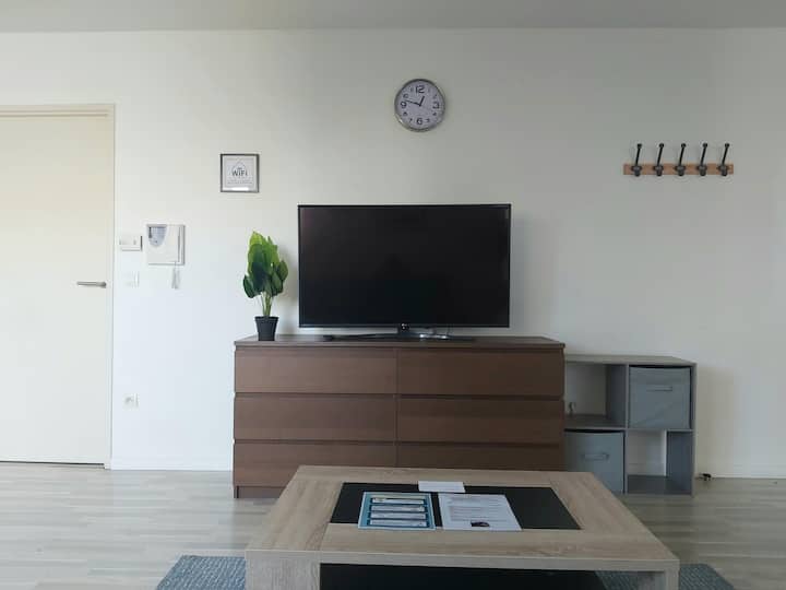 Bel Appartement à Lille Avec Terrasses Et Parking - Villeneuve-d'Ascq