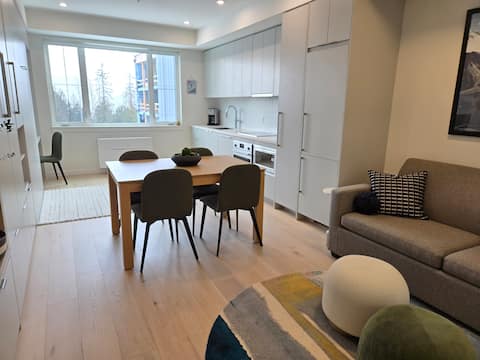Top performing Airbnb: Ski-In Studio Suite @ Red Mountain in Rossland