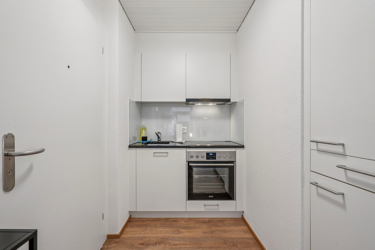 Successful Airbnb property: Premium studio in city center - Color 3 in Unterstrass