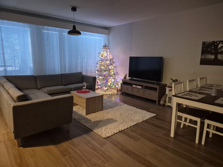 Tilava 3 Mh Huoneisto - Rovaniemi