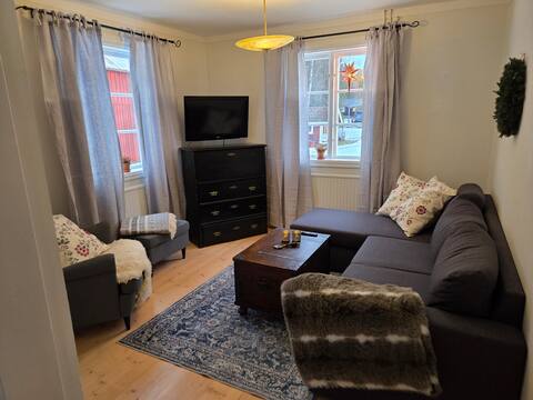Top Airbnb: Cozy 2-story house in Vemdalen village in Härjedalen