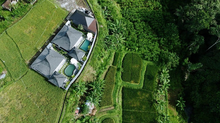 Vila Damai Dengan Kolam Pribadi & View Lembah - Bali