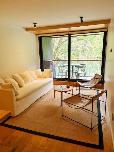 Apartment in downtown Pucón