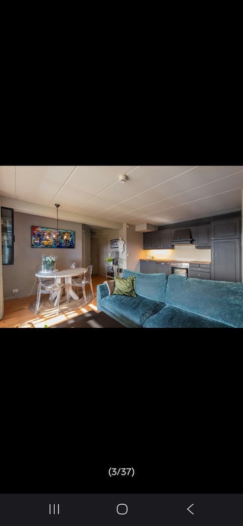 Popular Airbnb listing: Apartment, Fjellparken Beitostølen in øystre Slidre